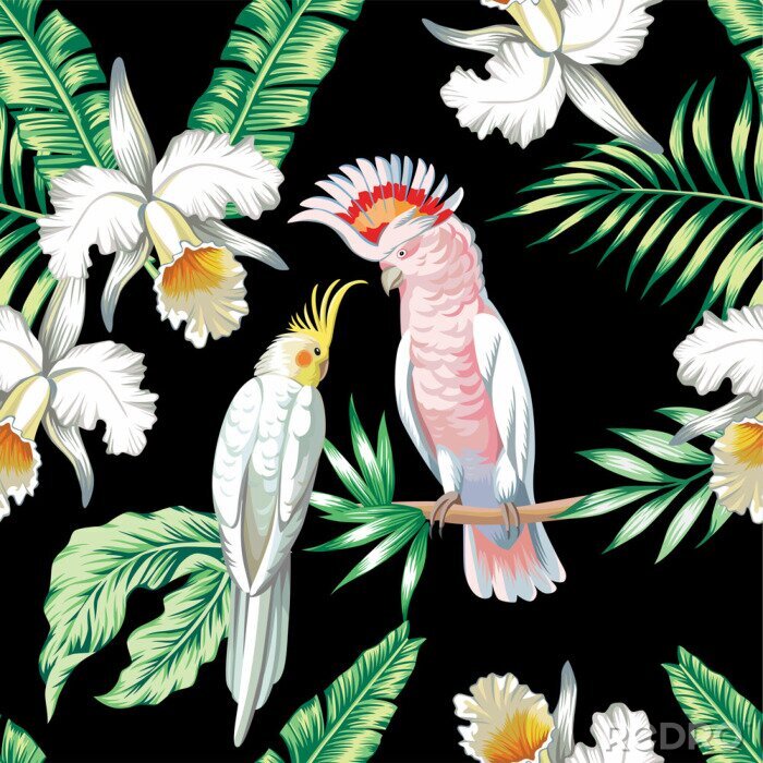 Tapete Papageien exotisch floral seamless background