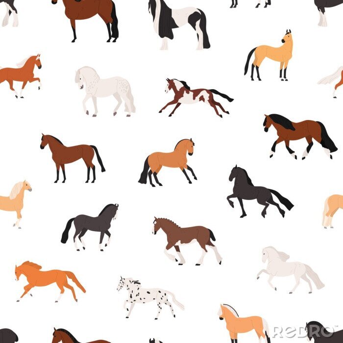 Tapete Pferde in verschiedenen Farben auf weißem Hintergrund