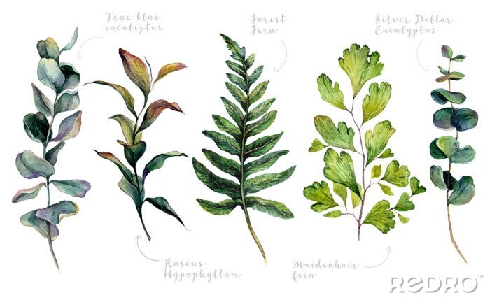 Tapete Pflanzen mit Unterschriften