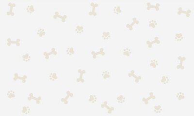 Tapete Pfotenabdrücke und Knochen für Hunde