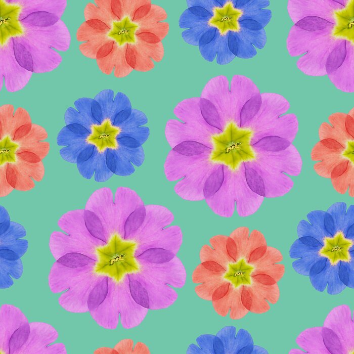 Tapete Primel in vielen Farben