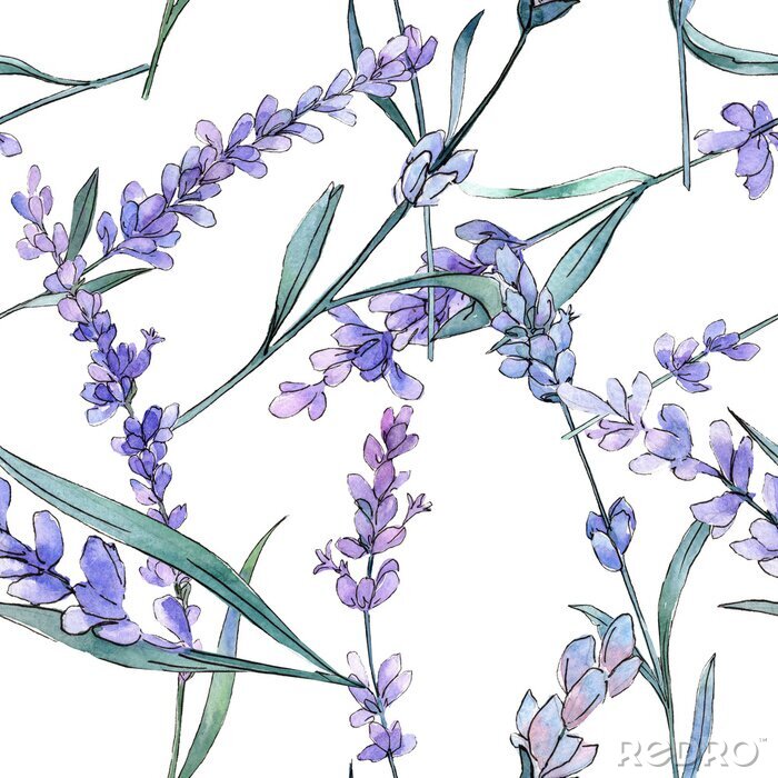 Tapete Purple lavender. Floral botanical flower. Watercolor background illustration set. Seamless background pattern.