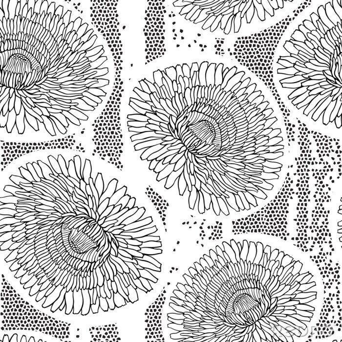 Tapete Pusteblumen in Schwarz-weiß auf der Zeichnung
