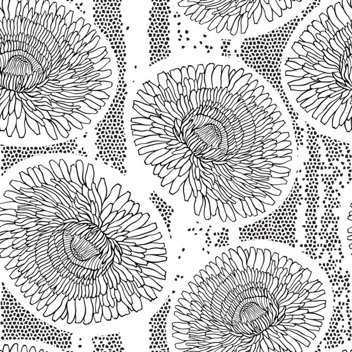 Tapete Pusteblumen in Schwarz-weiß auf der Zeichnung