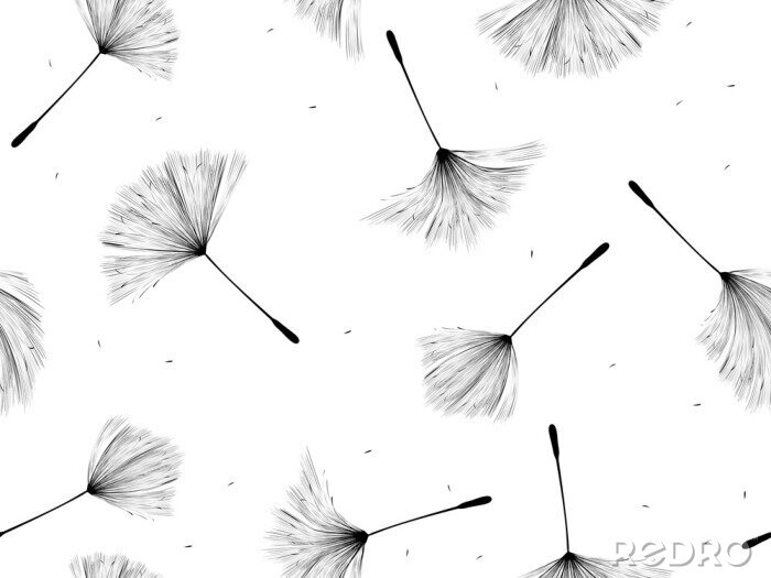 Tapete Pusteblumen schwarz-weiß an Besen erinnernd