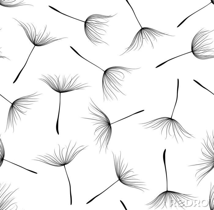 Tapete Pusteblumen schwarz-weiß einfache subtile Grafik