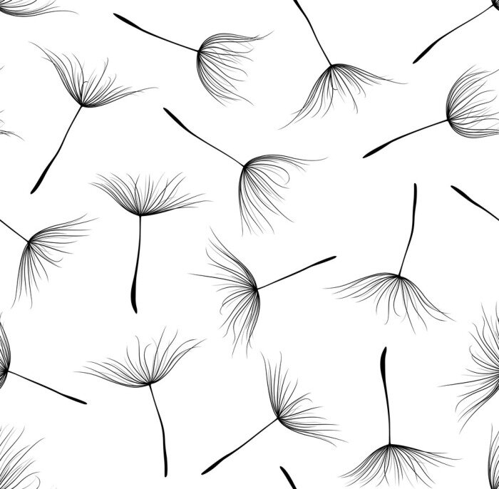 Tapete Pusteblumen schwarz-weiß einfache subtile Grafik