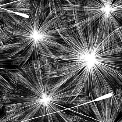 Tapete Pusteblumen schwarz-weiß großes Muster