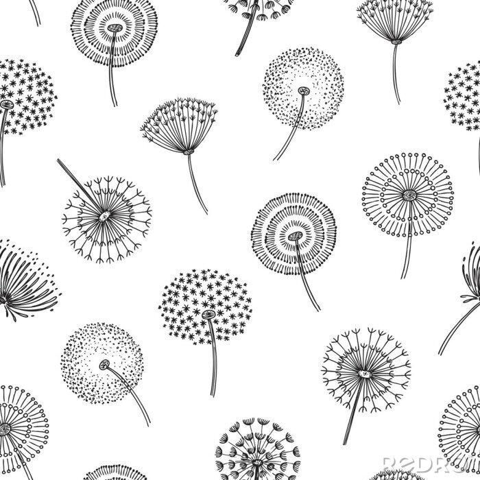 Tapete Pusteblumen schwarz-weiß in verschiedenen Stilen