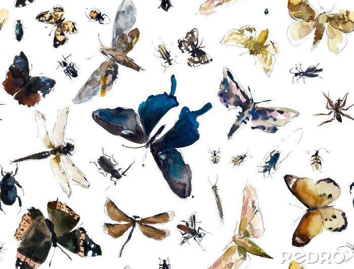 Tapete Realistische bunte Schmetterlinge und Insekten