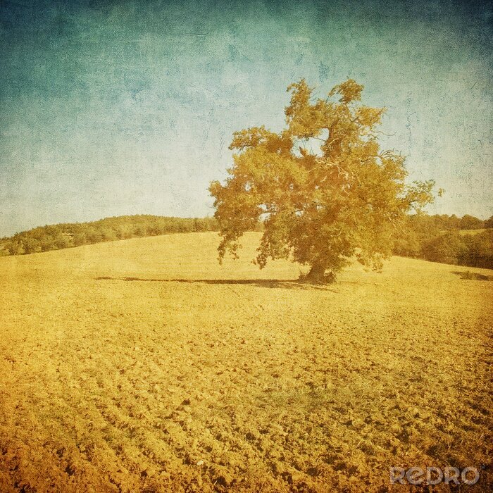 Tapete Retro-Landschaft mit Baum