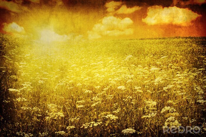 Tapete Retro Sonnenuntergang auf der Wiese