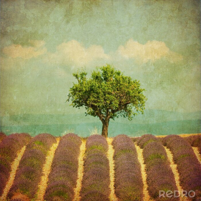 Tapete Retrofotografie mit einem Baum inmitten der Blumen