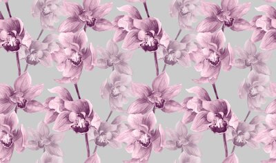 Tapete Romantische rosa Orchidee