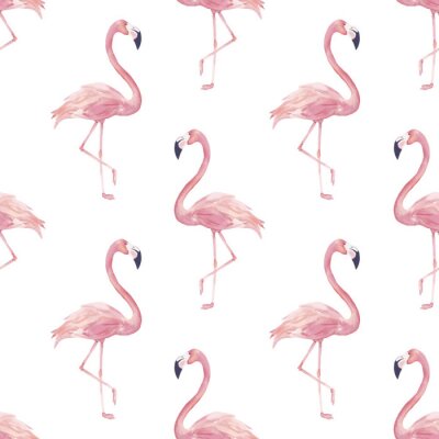 Tapete Rosa Flamingos auf weißem Hintergrund
