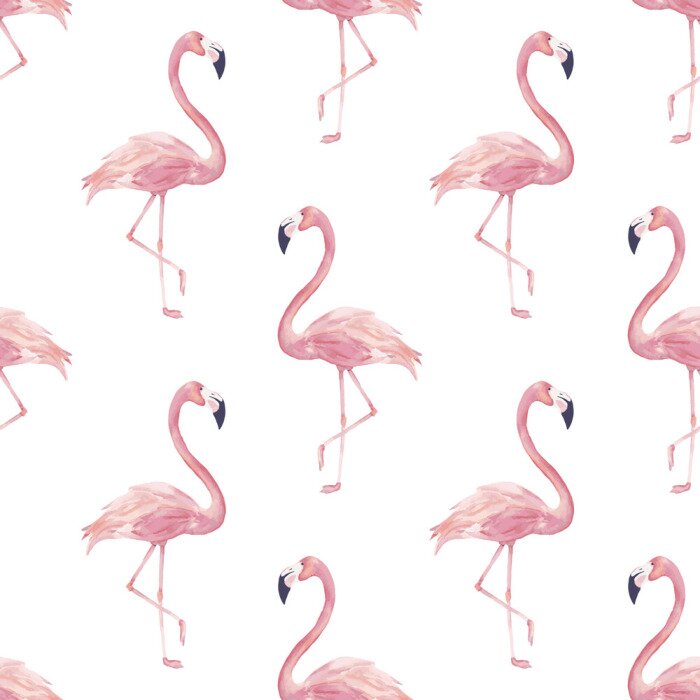 Tapete Rosa Flamingos auf weißem Hintergrund
