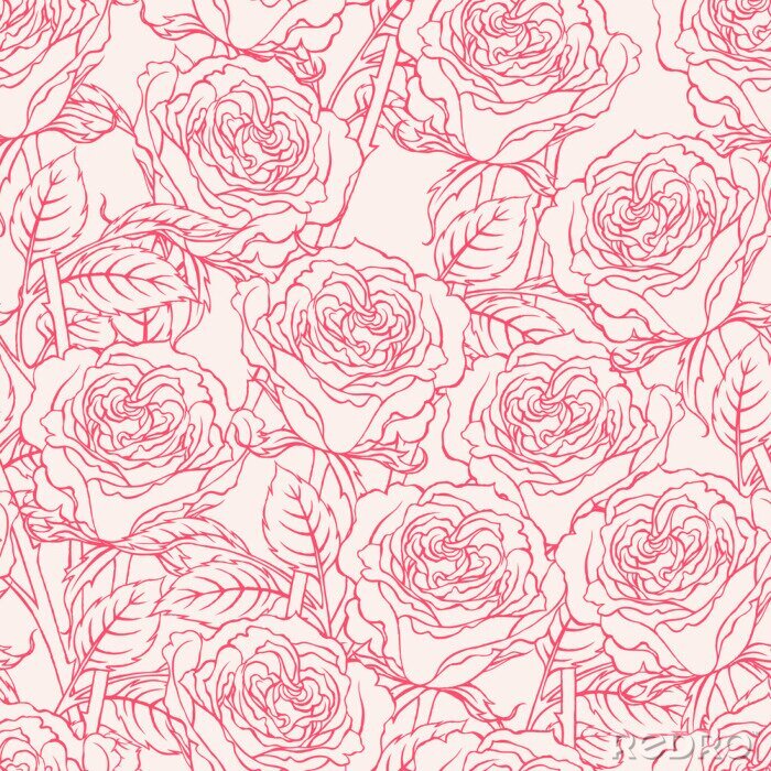Tapete Rosa Muster mit Rosen