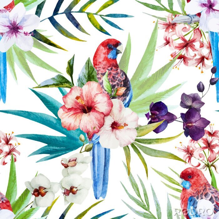 Tapete Rosella Vogelmuster