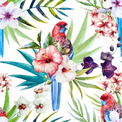 Tapete Rosella Vogelmuster