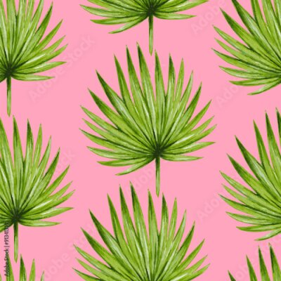 Tapete Rundblättrige Palme auf rosa Hintergrund