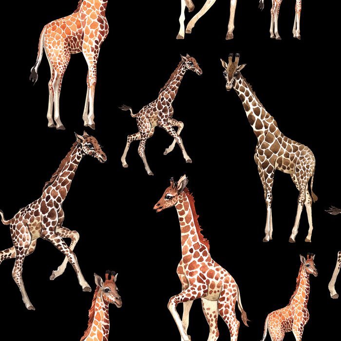 Tapete Safaritiere auf schwarzem Hintergrund