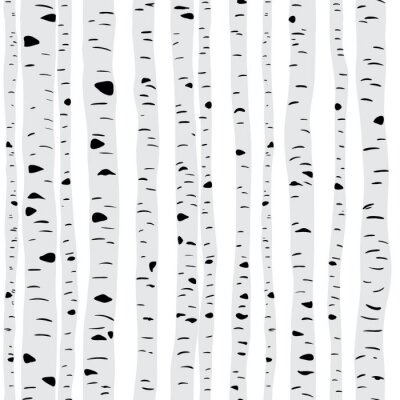 Tapete Schlanke Birken auf hellem Hintergrund