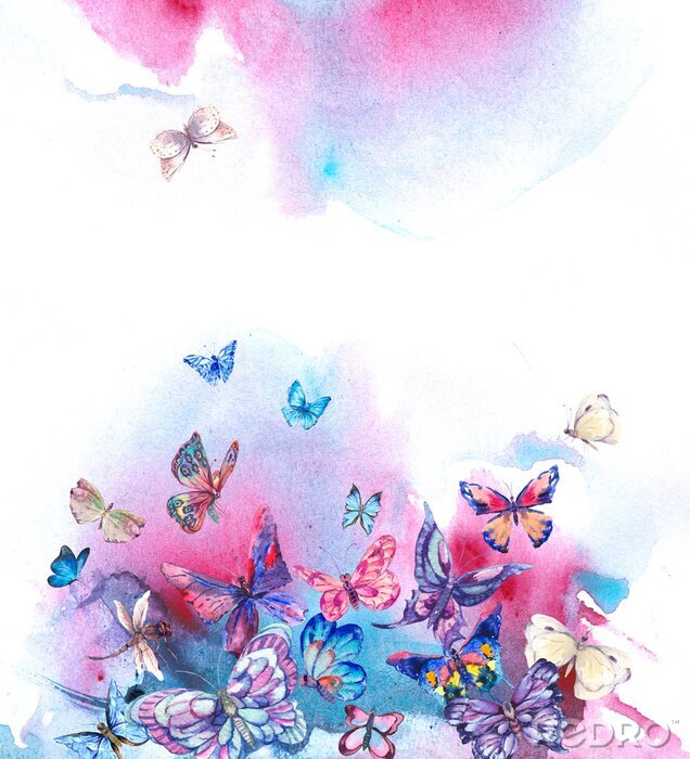 Tapete Schmetterlinge in einer blauen Aura