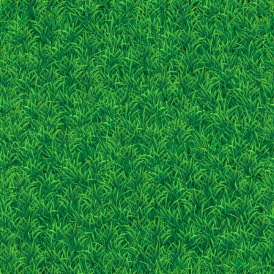 Tapete Schöne dichte Wiese