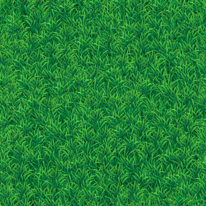 Tapete Schöne dichte Wiese