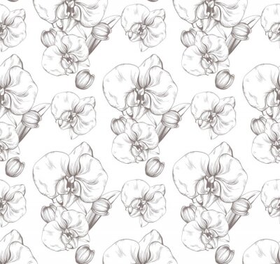 Tapete Schöne Orchidee Blumen Vektor