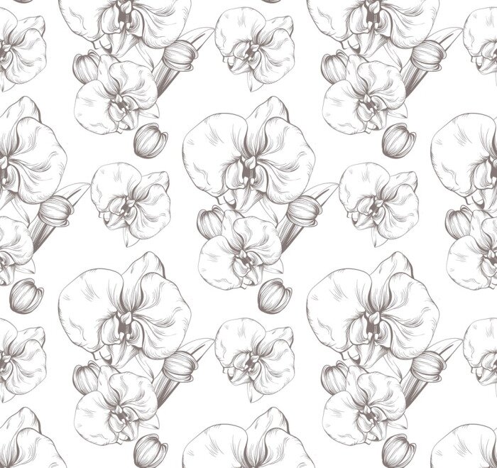 Tapete Schöne Orchidee Blumen Vektor