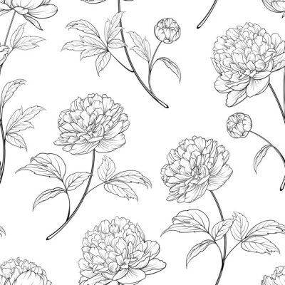 Tapete Schwarz-wei?e Bl?ten und Bl?tter der Pfingstrosen