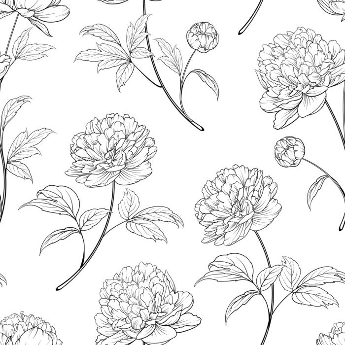 Tapete Schwarz-wei?e Bl?ten und Bl?tter der Pfingstrosen