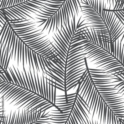 Tapete Schwarz-Weiß-Blätter im minimalistischen Stil