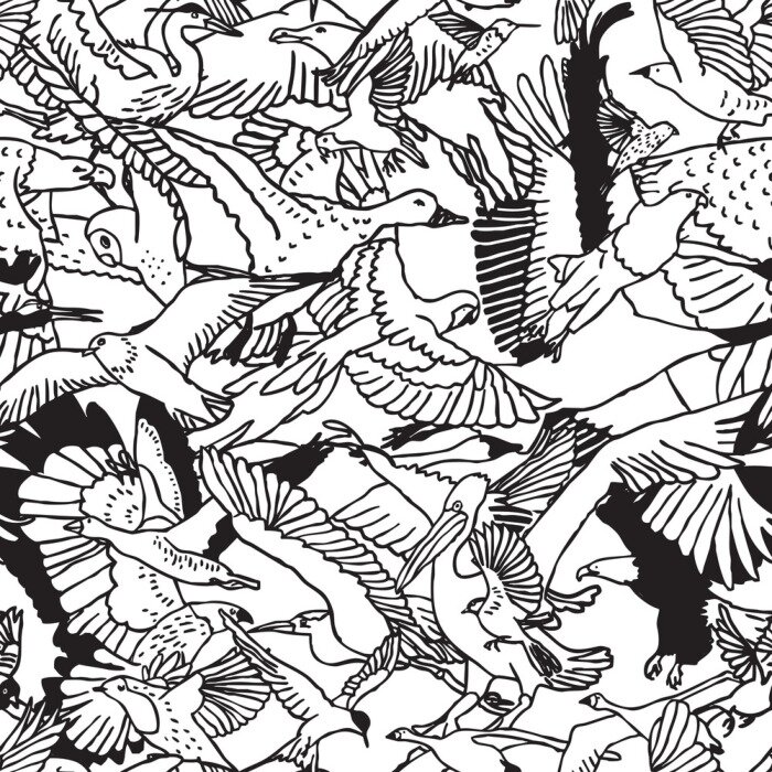 Tapete Schwarz-Weiß-Grafiken mit Vögeln
