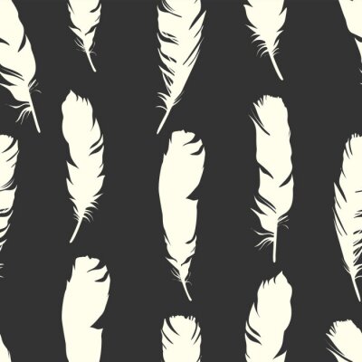 Tapete Schwarz-Weiß-Motiv in Vogelfedern
