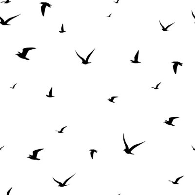 Tapete Schwarz-Weiß-Motiv mit Vögeln im Flug