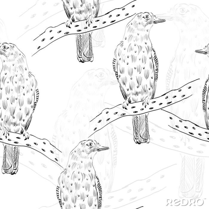 Tapete Schwarz-Weiß-Skizze mit Vögeln