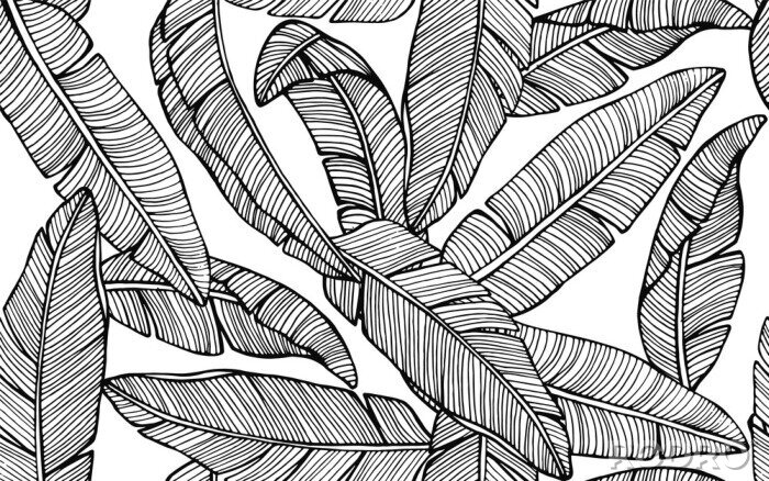 Tapete Schwarz-Weiß-Zeichnung mit Blättern