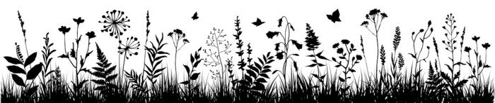 Tapete Schwarz-weiße Blumen und Kräuter auf einer Wiese