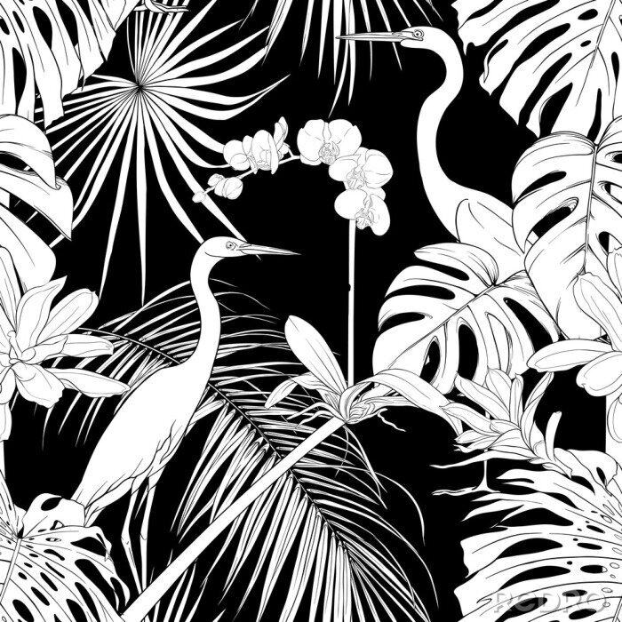 Tapete Schwarz-weiße Vögel inmitten tropischer Pflanzen