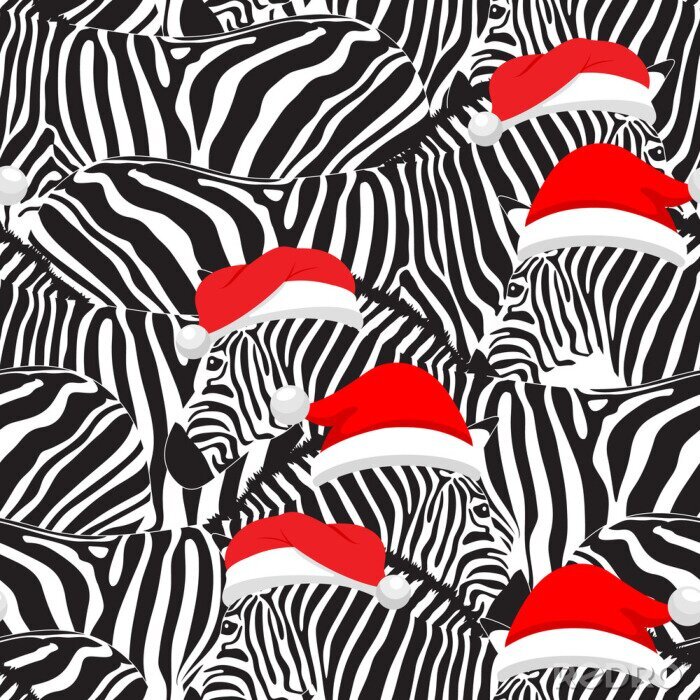 Tapete Schwarz-weiße Zebras mit roten Mützen