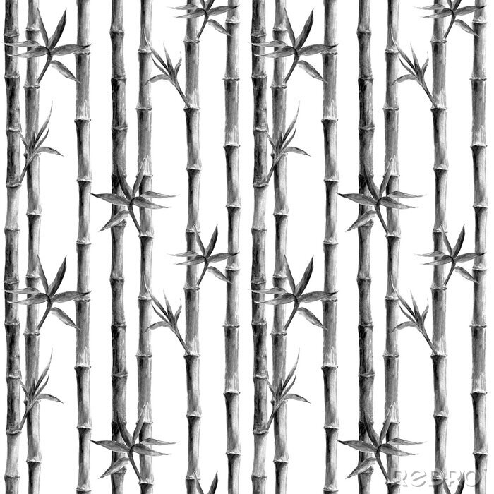Tapete Schwarz-weißer Bambus