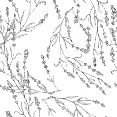 Tapete Schwarz-weißes Muster mit Lavendelzweigen