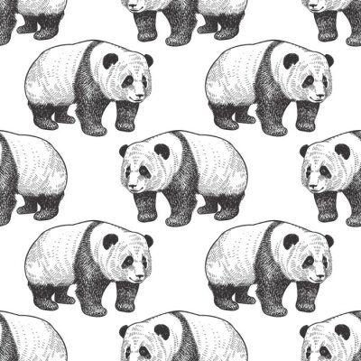 Tapete Schwarz-weißes Panda-Muster