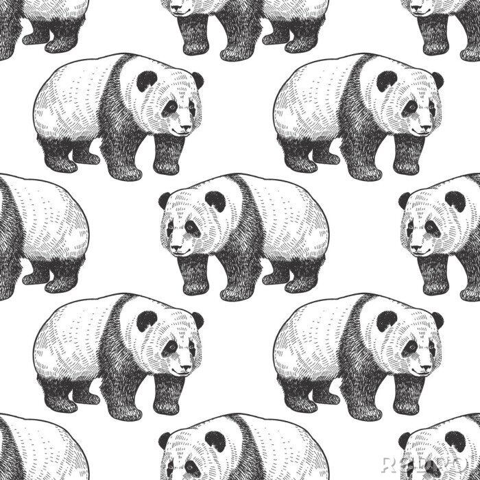 Tapete Schwarz-weißes Panda-Muster