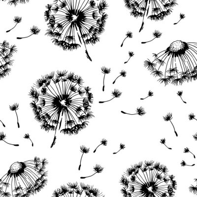 Tapete Schwarze minimalistische Pusteblumen auf weißem Hintergrund