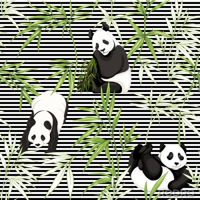 Tapete Schwarze und weiße Pandas zwischen Bambusblättern