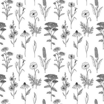 Tapete Schwarze und weiße Wildblumen