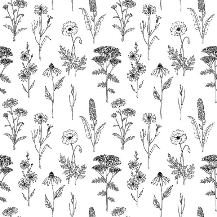 Tapete Schwarze und weiße Wildblumen